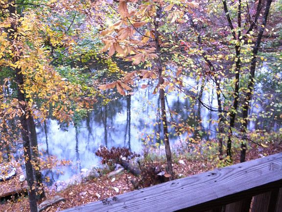 View of river - back porch