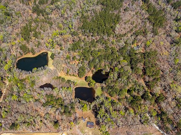 3rd image of 10477 Macon Rd