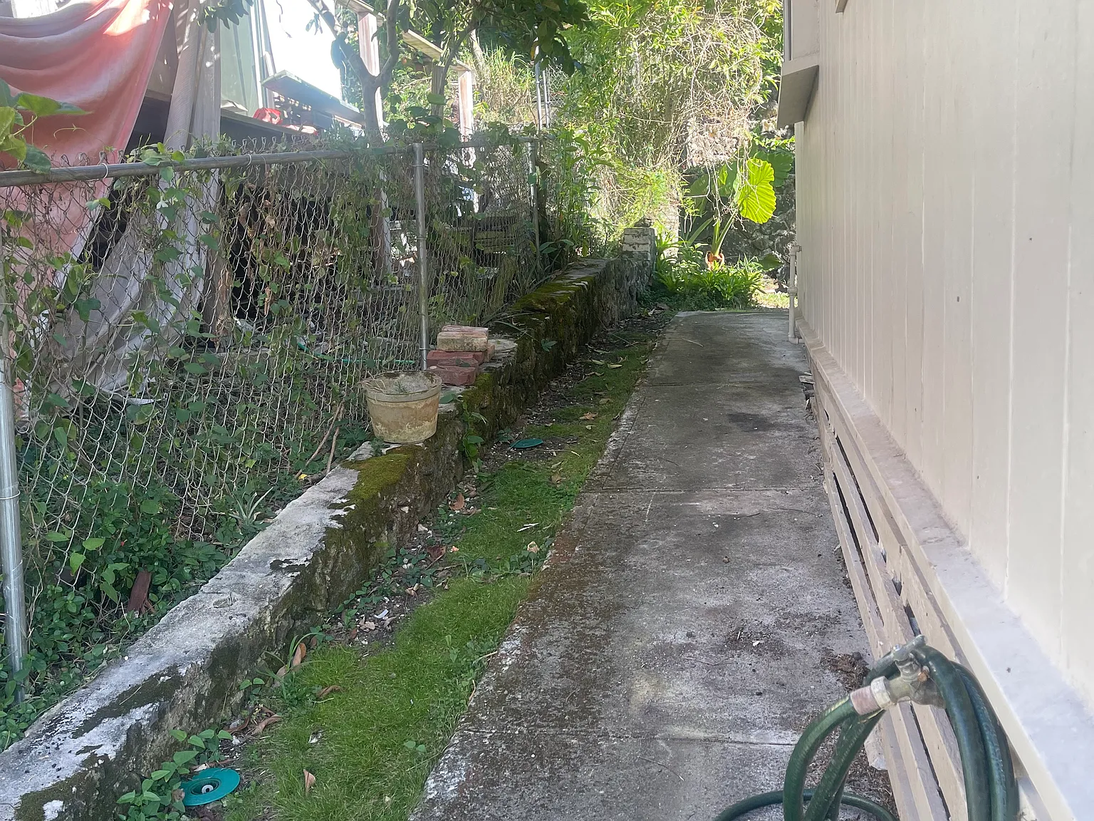 3 bed, 900 sqft, $3,550 — Photo 4