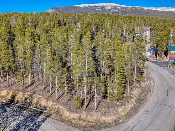 12 Imogene Circle, Leadville, CO 80461