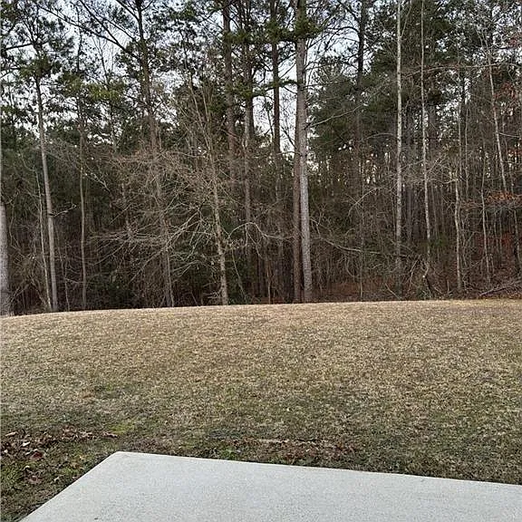 1564 Log Cabin Ln — Photo 24