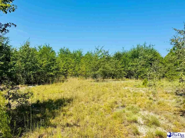Newman Ln, Jefferson, SC 29718