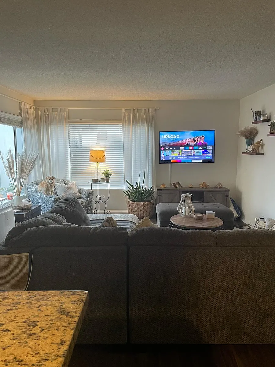 Shared living room - 5990 E Naples Plz #5