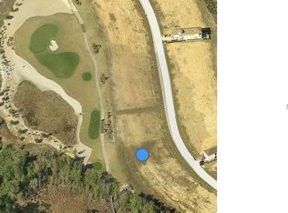 788 Desert Mountain Ct, Kissimmee, FL 34747