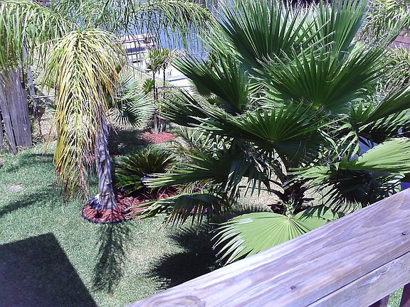 3rd image of 503 Pompano St
