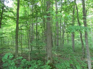 W Adams Dr, Frederic, MI 49733