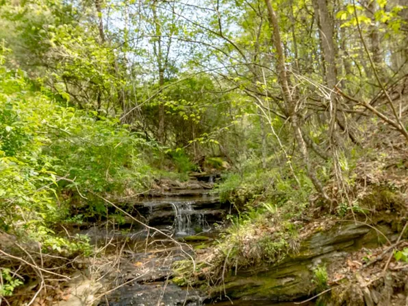 Grayson Pkwy, Independence, VA 24348