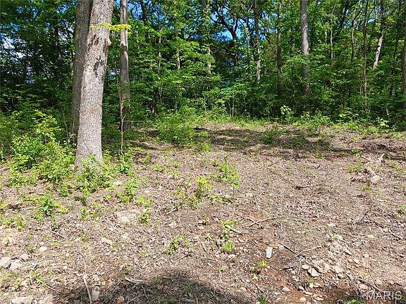4th image of 952 Brookline Dr