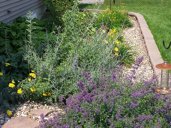 Perennial Garden