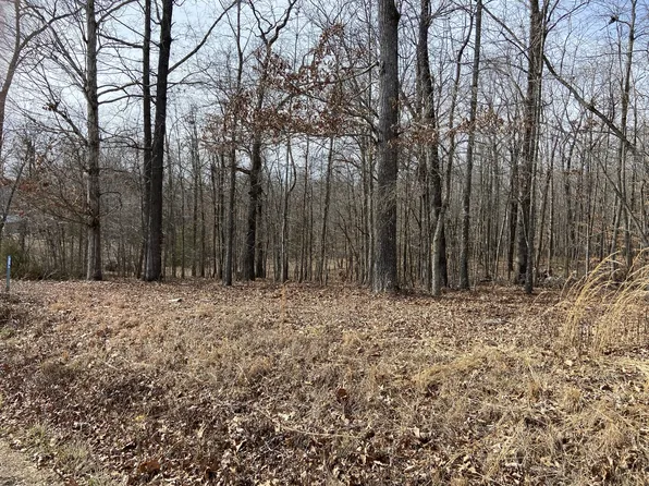 0 Carl Willis Rd Lot 320, Flintville, TN 37335