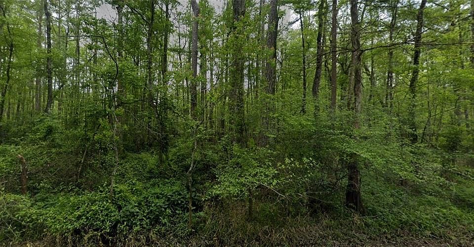 2nd image of Traino Rd