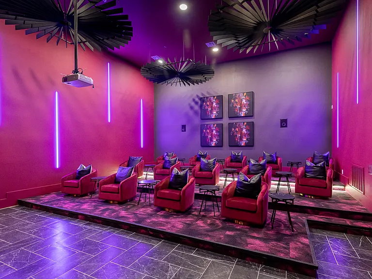 A cozy, theater-style space for entertainment at home.