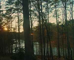 Lakeview from garage side of home