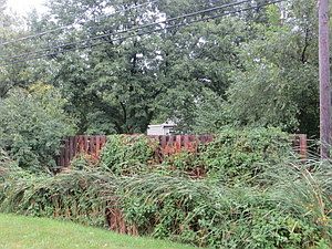 2nd image of 3S161 Rte 59