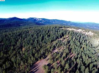 466-615 Gold Run Rd, Susanville, CA 96130