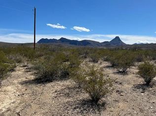 31466 Ringtail, Terlingua, TX 79852