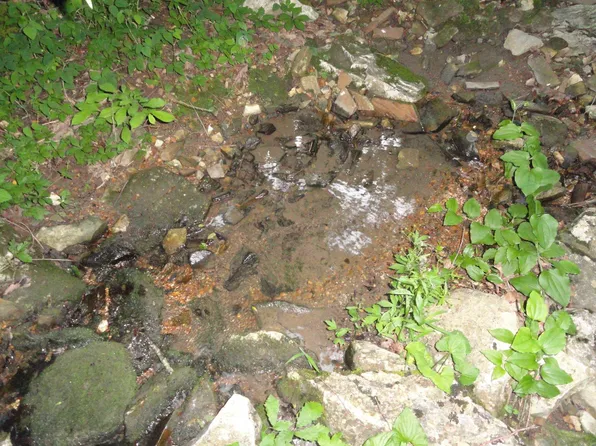 168 Reflections Dr, Marshall, AR 72650