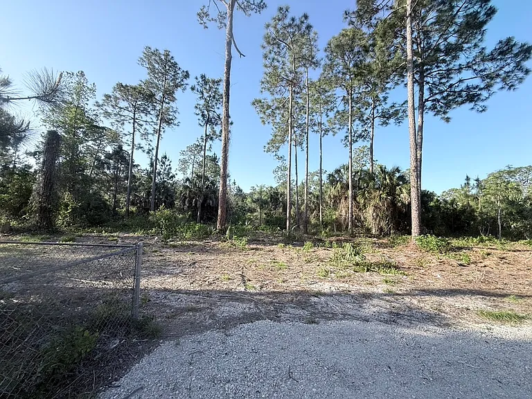 1520 Blue Sage Dr — Photo 18