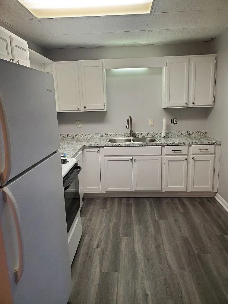 1 bed, 700 sqft, $1,250 — Photo 4