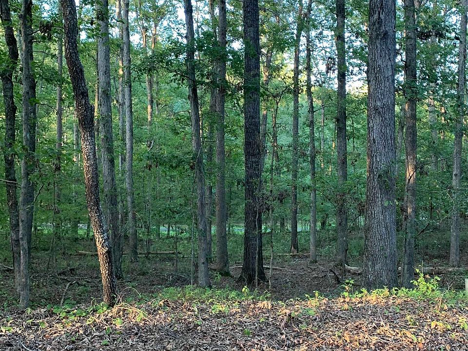 2nd image of 84 Delgado Way