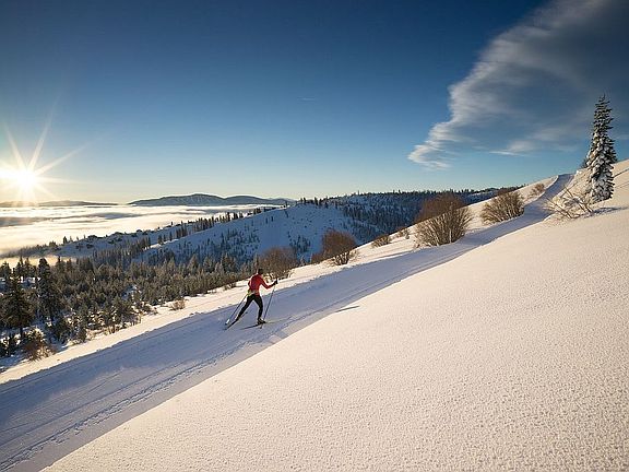 TD Amenity - XC Skiing