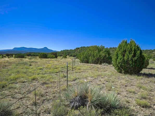 37250 Kunzite Road, Trinidad, CO 81082