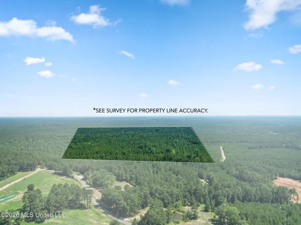 J P Hinton Rd, Richton, MS 39476