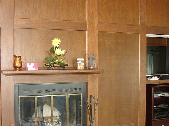 Fireplace & Built-ins