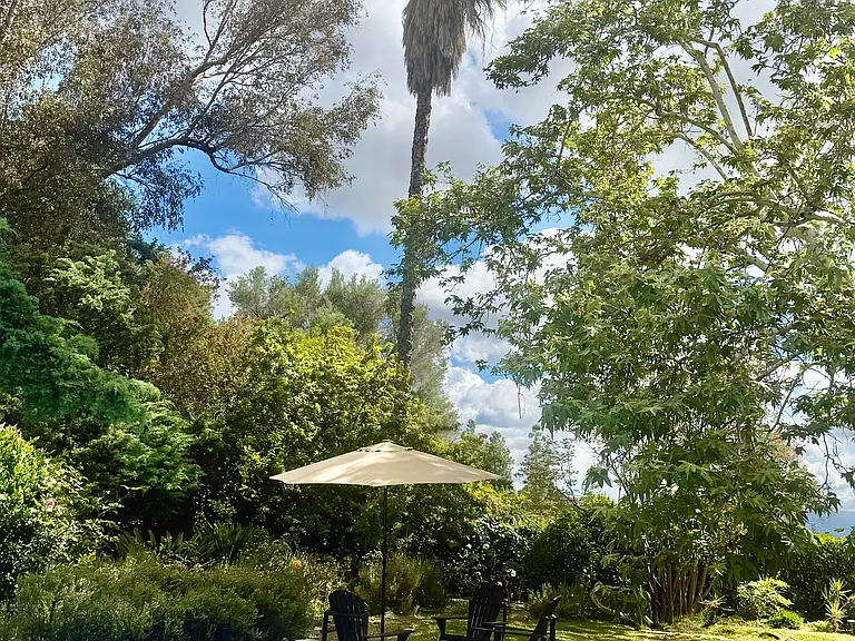 Nogales Dr — Photo 8