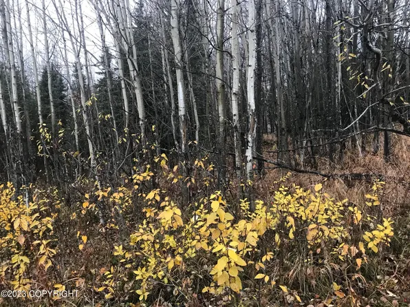 L2 Sterling Hwy, Soldotna, AK 99669