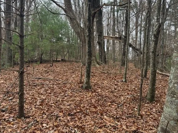 TBD Big Ridge Road, Fleetwood, NC 28694