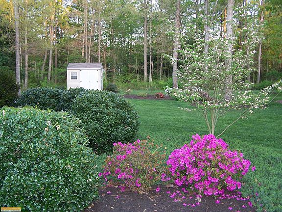 Spring In Bloom