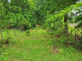 776 Mount Pleasant Rd, Clyo, GA 31303