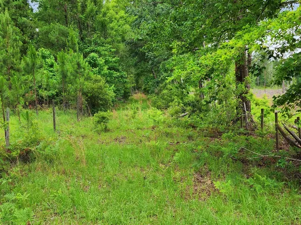 776 Mount Pleasant Rd, Clyo, GA 31303