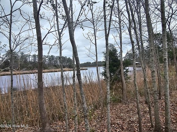 3rd image of 251 Alligator Loop Road