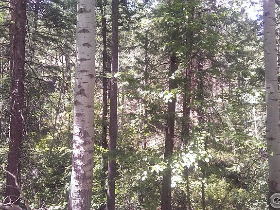 5th image of Storm Mountain Rd