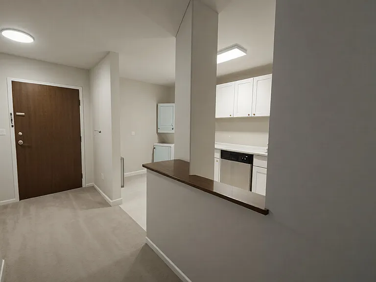 50 Euclid Ave #3B — Photo 5