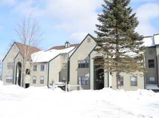 46 Stewart Ln #P303, Ludlow, VT 05149