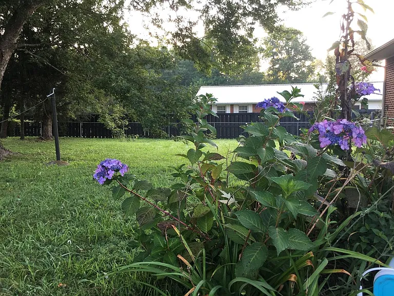 1506 Matts Hollow Rd — Photo 18