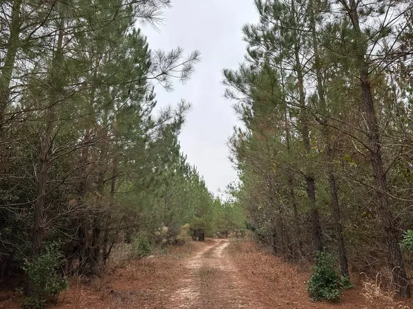 0 Hutcheson Rd, Mitchell, GA 30820