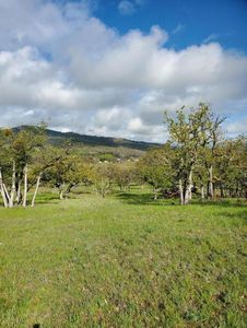 Davanna Dr, Eagle Pt, OR, 97524