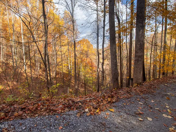 LOT 14 Grey Fox Run, Sevierville, TN 37862
