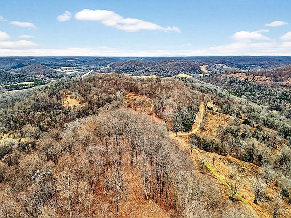 41st image of this home