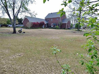 Large yard, fruit trees