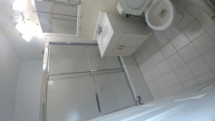 Rented by Metro Garden Realty NYC | media 46