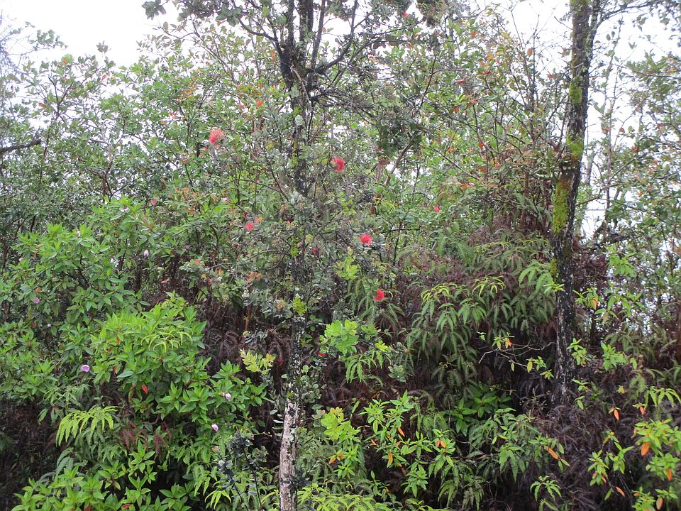 2nd image of Kokokahi Rd Lot 67