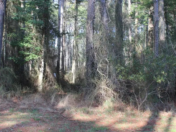 858 Scimitar Way, Greenbackville, VA 23356