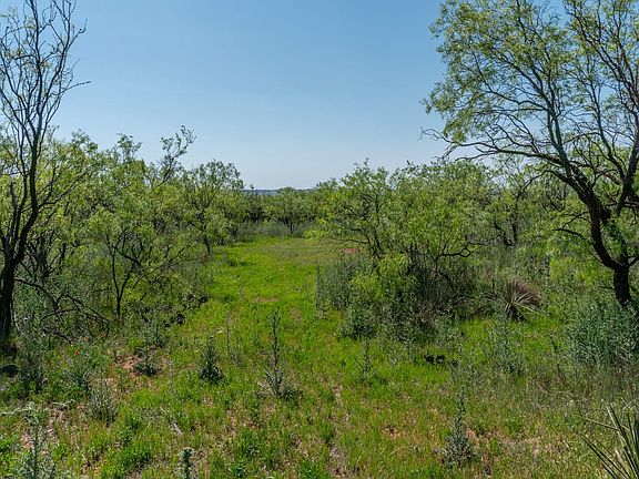 Sweetwater Land For Sale with Owner Financing Available
