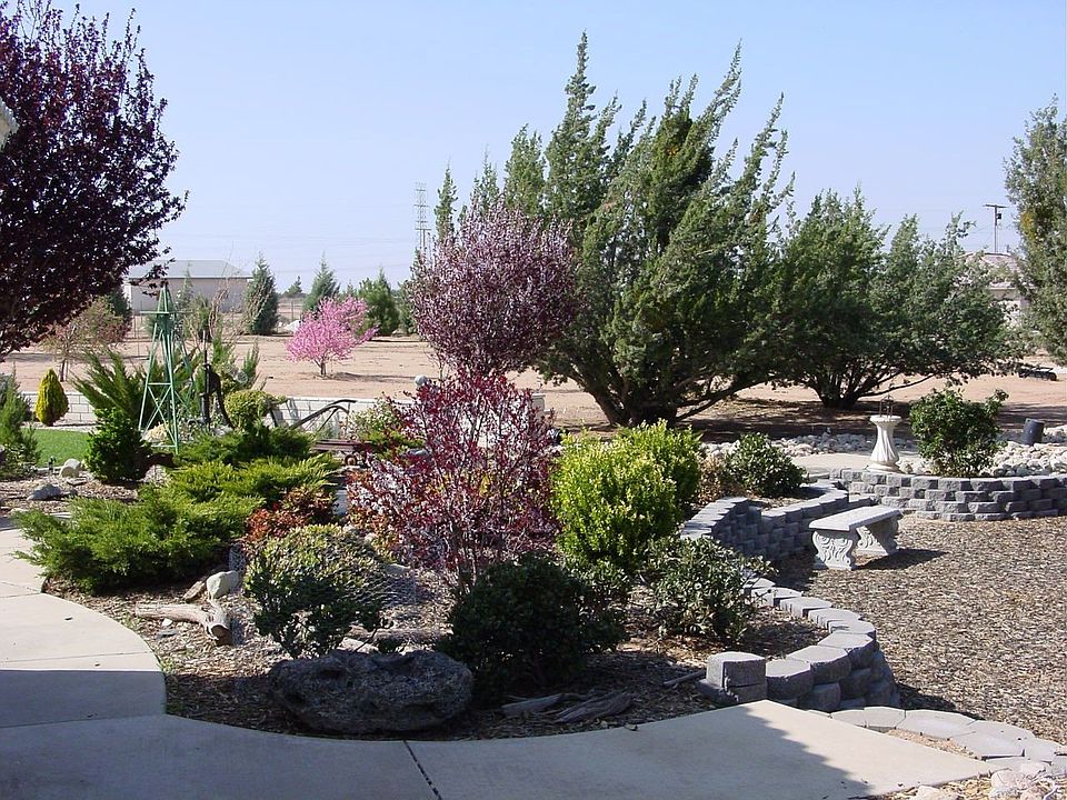 side yard going into picnic area