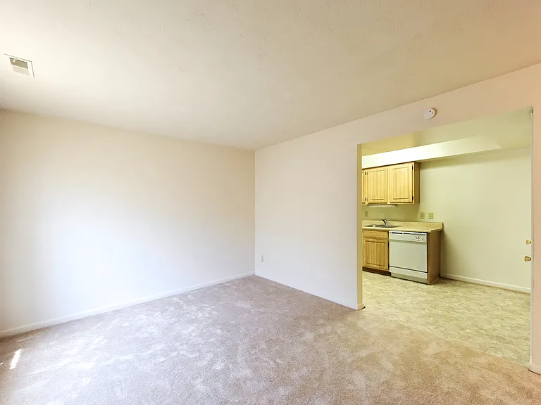 Brentwood Forest Apartments — Photo 13